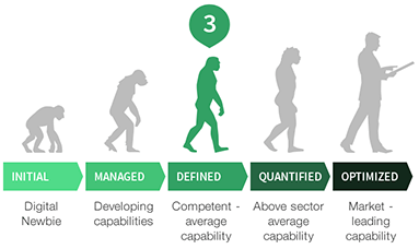 Digital transformation stages in the style of The Evolution of Man