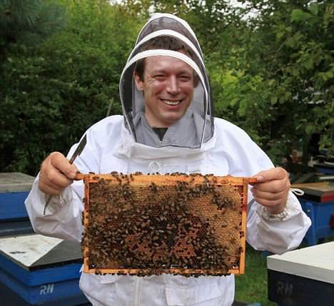 craigsullivanpollination