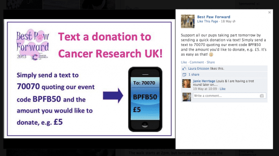 Charity-fundraising-social-media-example