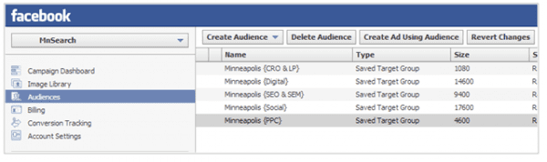 FacebookdemographicsPowerEditor