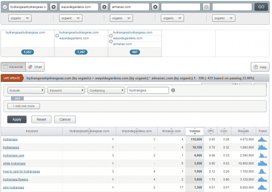 semrush domain analysis