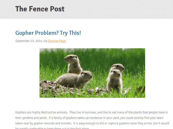 Fencepostgopherproblemlouispage