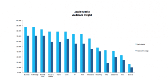 Zazzle Media Audience Insight