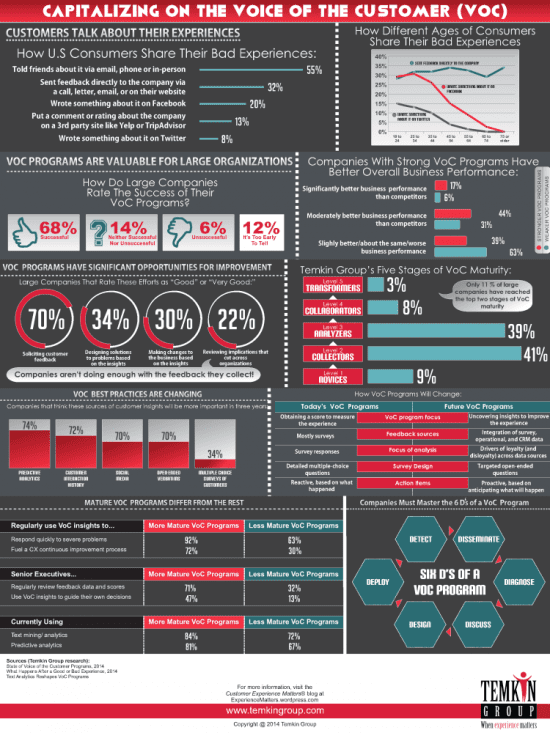 state of the voice of the customer program Infographic