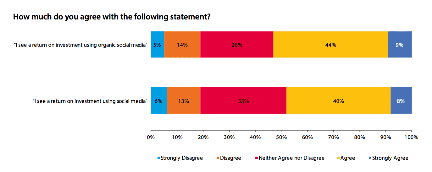 Social meida ROI perceptions 