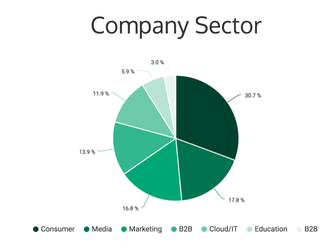 Types of companies studied 