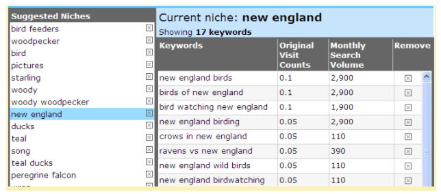 keyword-niche