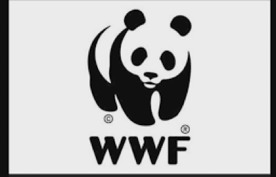 WWF logo