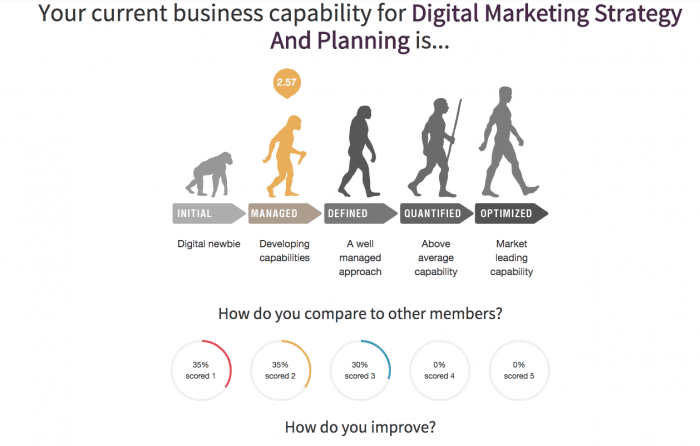 Capability grader results