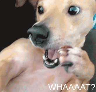 Email testing shocked