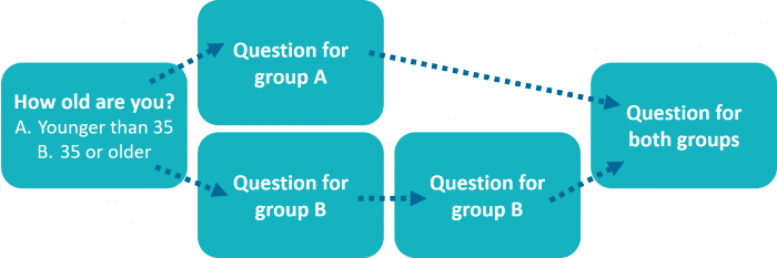 survey question type - skip logic explained