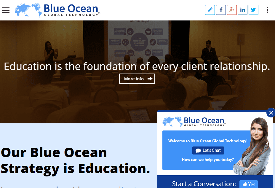 Blue Ocean website