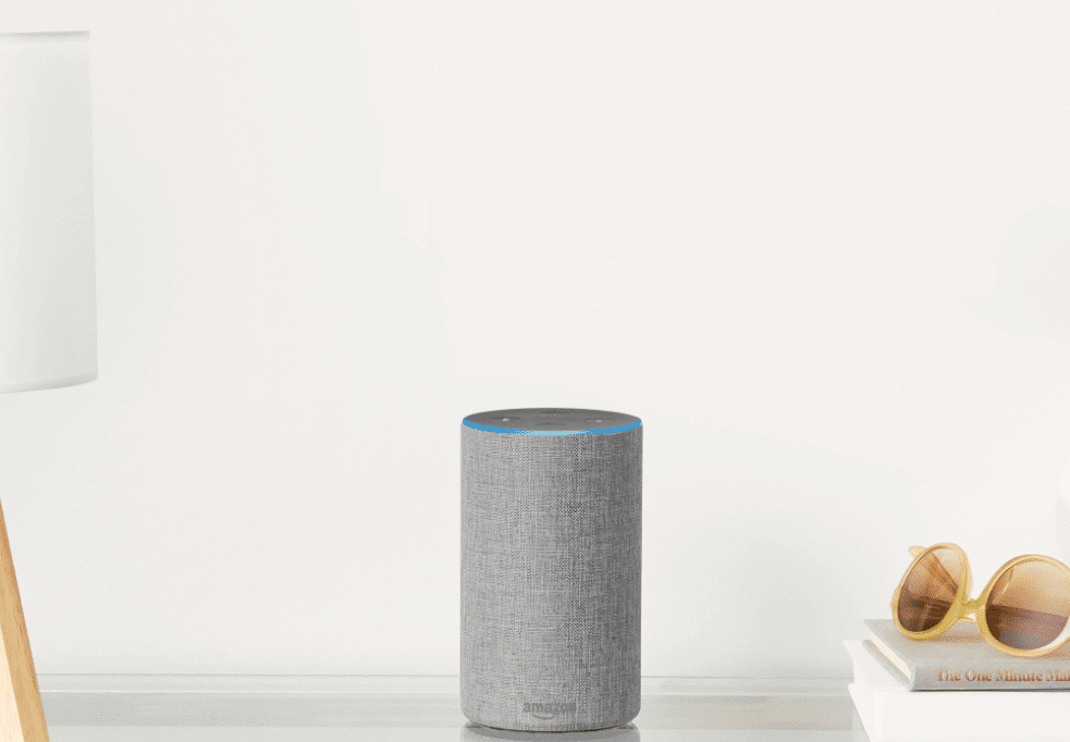 Amazon Light Grey Echo