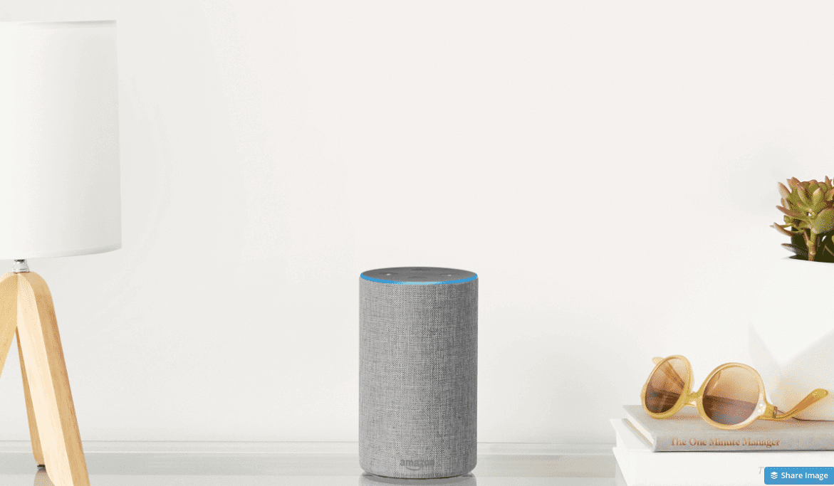 Amazon Light Grey Echo