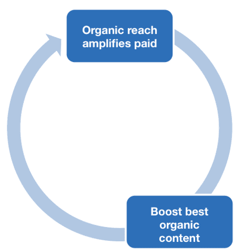 Integrated organic and paid strategy