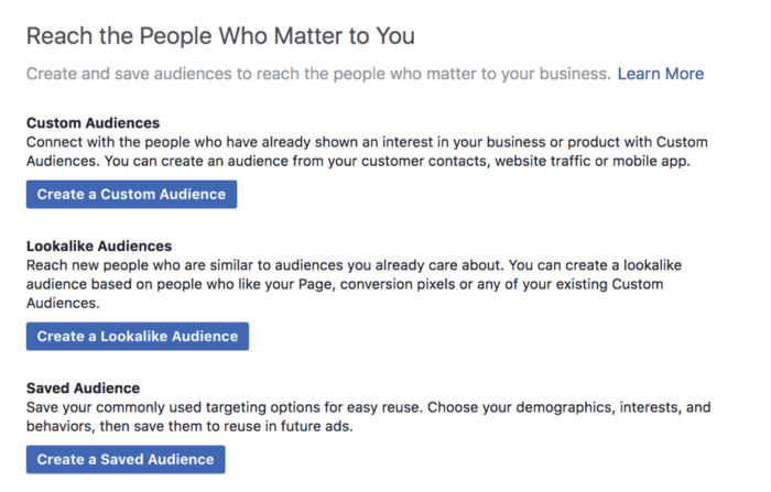 Audience types for targeting