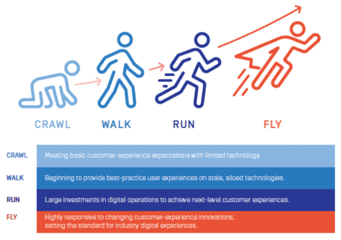 Digital agility evolution