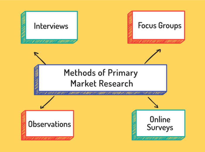 what is primary market research example