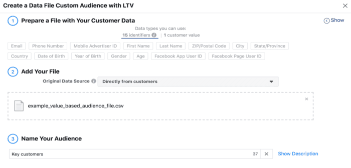 data file custom audience with LTV