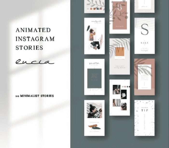 Animated Instagram Stories template