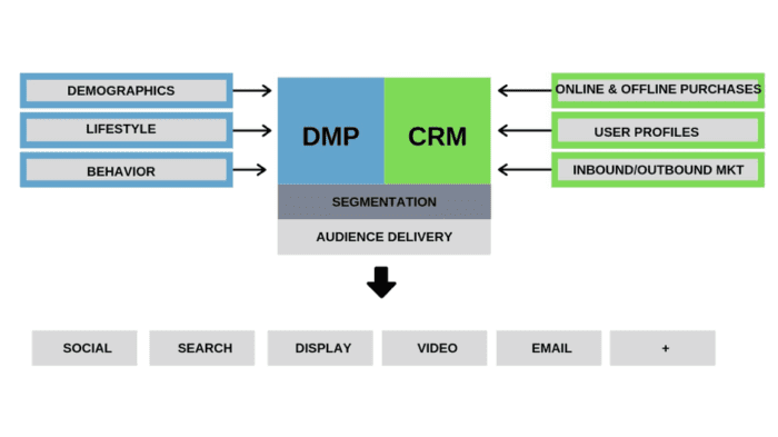 DMP and CRM