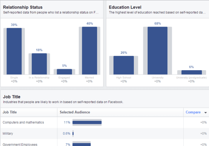 Facebook audience insights