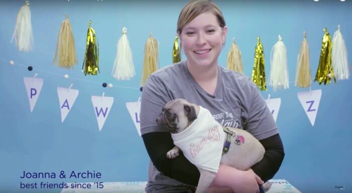 Zappos-Home-For-The-Pawlidayz