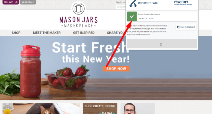 60 - Mason Jars SEO mistakes 3