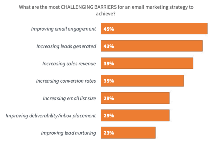 Biggest email marketing success barriers