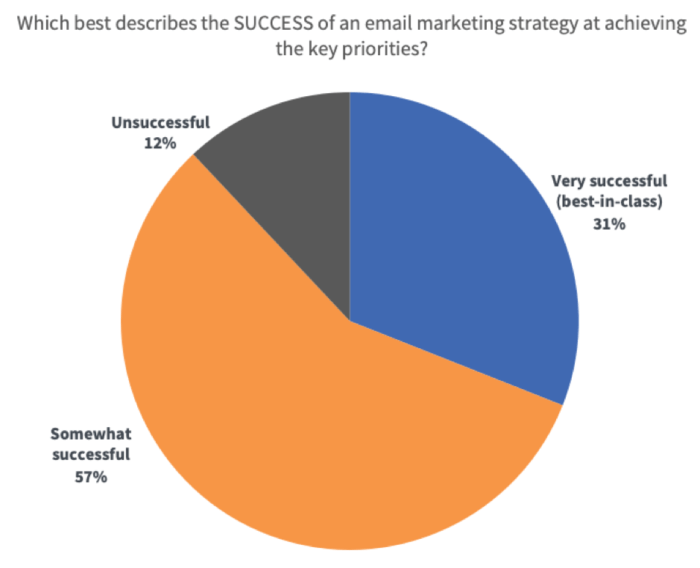 How successful are email marketing strategies at achieving goals?