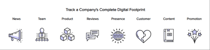 Track a company's digital footprint