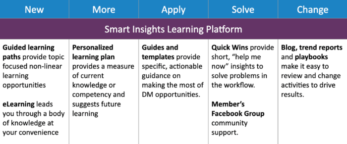 Smart Insights' learning platform