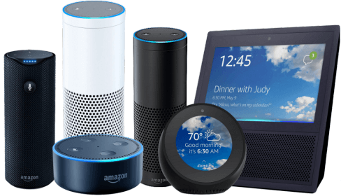 Connected commerec and voice search