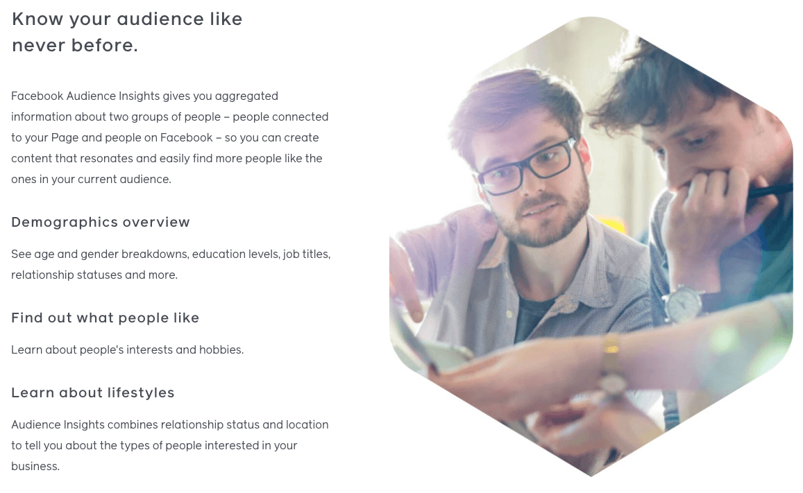 Meta audience overviews