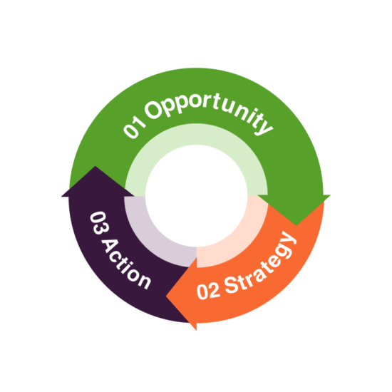 Opportunity Strategy Action